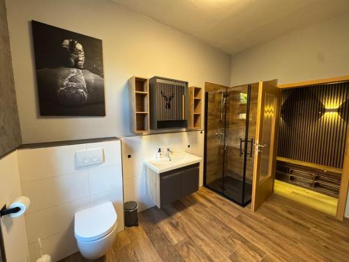 a bathroom with a toilet and a sink and a shower at Canossa Lodge in Bad Harzburg