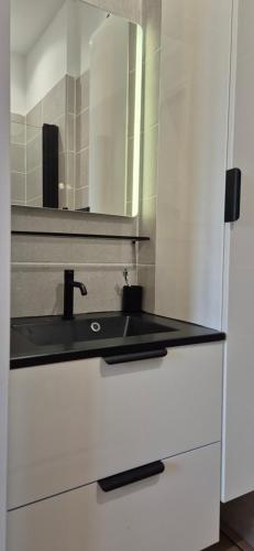 a bathroom with a sink and a mirror at Appartement coquet proche plage in Berck-sur-Mer