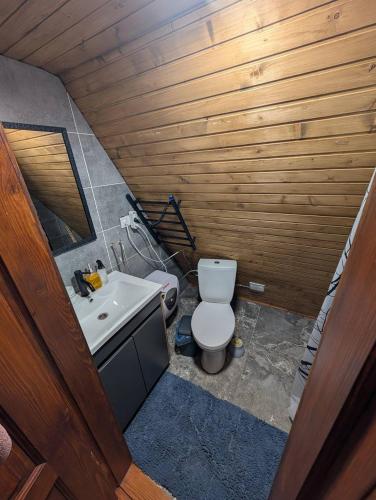 a small bathroom with a toilet and a sink at Lav inn Polyanna Простір in Polyana