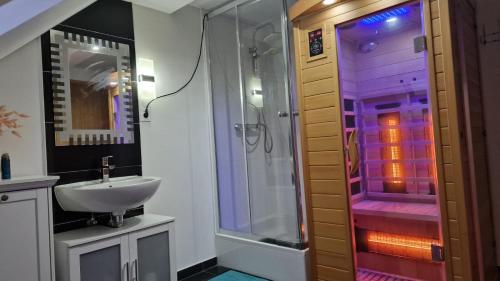a bathroom with a shower and a sink at CT Apartment Wurzen in Wurzen