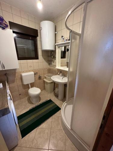a bathroom with a shower and a toilet and a sink at Kuća za odmor VITICA s vanjskim kaminom in Kupres