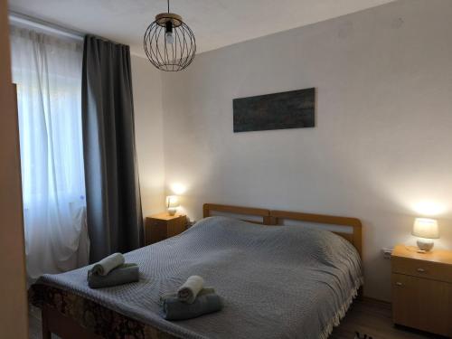 Apartments Davor