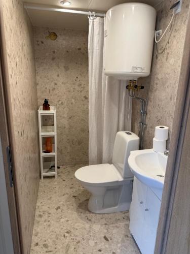 a bathroom with a toilet and a sink at Cabin in the forest with Spa and Sauna in Västra Torup