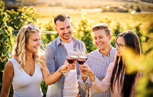 a group of people drinking wine in a vineyard at Villa Hortensia in Aszófő