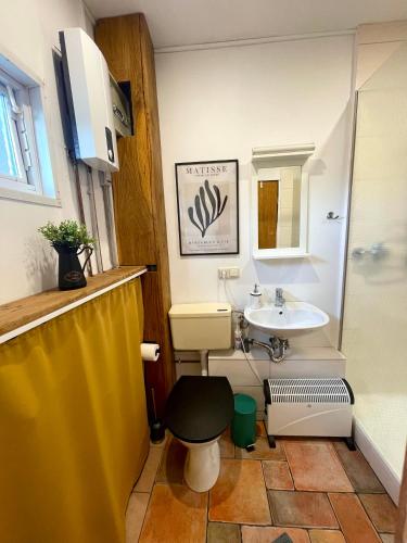 a bathroom with a toilet and a sink at Tiny House Zur Alten Sparkasse in Groß Garz