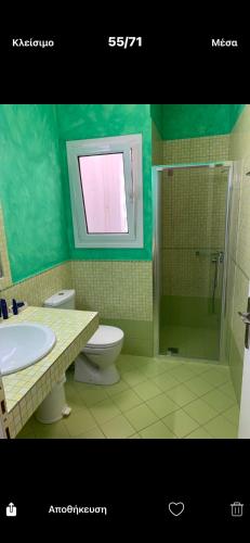 a bathroom with a toilet and a sink and a shower at SAN FLORAN in Áyios Flóros