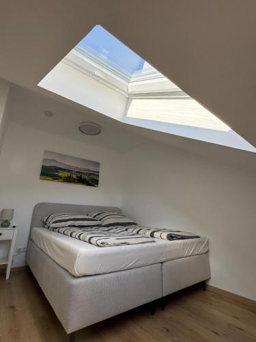 a bedroom with a bed with a large skylight at Apartment D&A in Albbruck