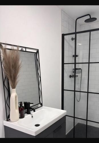 a bathroom with a sink and a shower with a mirror at Rosscarbery in Temple Bridge
