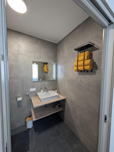 a bathroom with a sink and a mirror at Wagramzimmer - Satzingerhof in Großwiesendorf