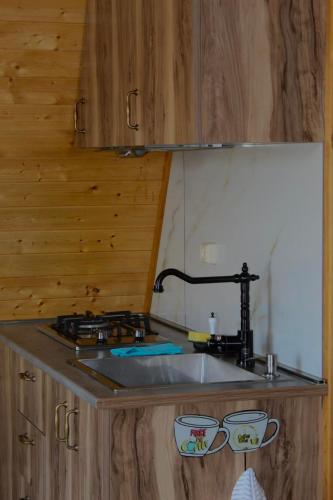 a kitchen counter with a sink and a stove at ''Sunflower'' in Dushetʼi