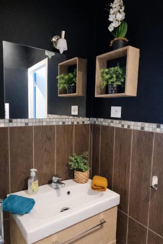 a bathroom with a sink and a mirror at Les Volets Bleus - Au Calme avec petit Jardin et Patio - 3 appartements in Bourges