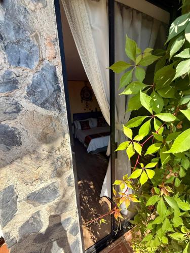 a view of a bedroom through a glass door at Casa Jasmin Bed & Breakfast in Troncones