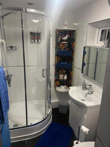 ein Badezimmer mit Dusche, Toilette und Waschbecken in der Unterkunft Witz End in Corsham
