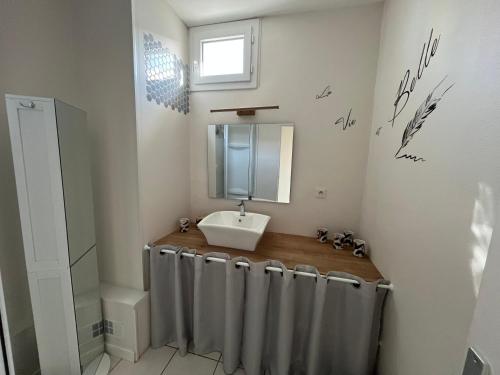 a bathroom with a sink and a mirror at Appart Cosy Centre ville -proche gare in Châtellerault