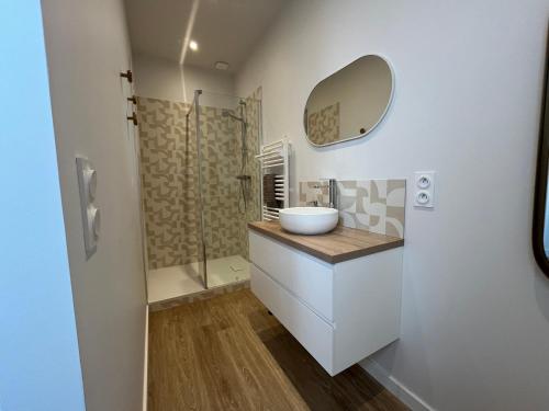 a bathroom with a sink and a shower at Maison WILSON in Blois