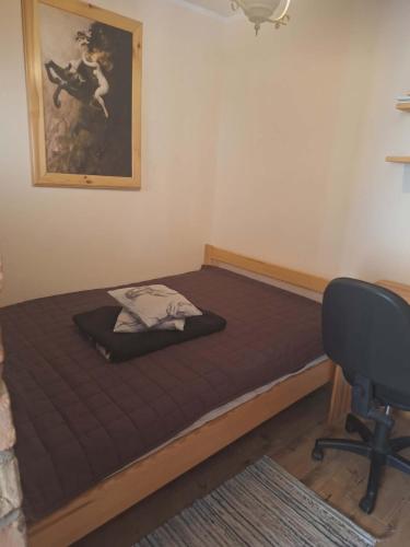 a bed in a room with a desk and a chair at Apartament Lipowa in Lidzbark