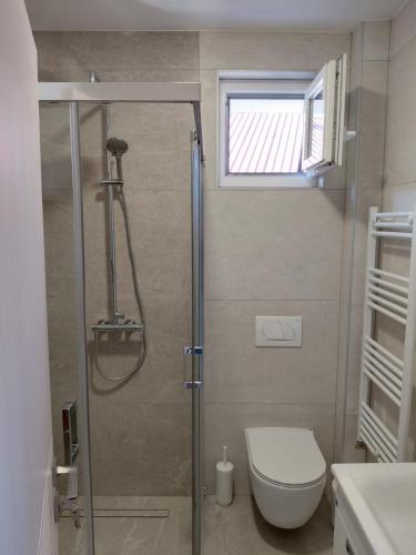 a bathroom with a shower with a toilet and a window at Vila Ella Mavrovo in Mavrovo