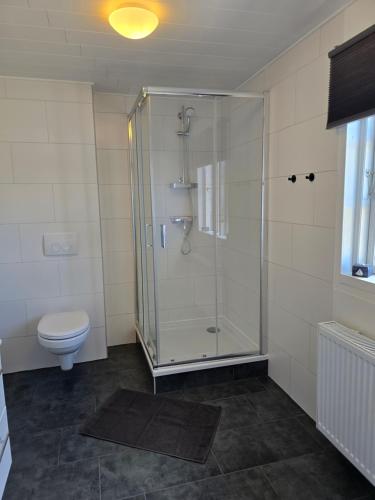 a bathroom with a shower and a toilet at Sandra Fewo nähe Rømø in Bredebro in Bredebro