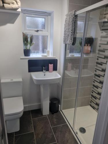 a bathroom with a toilet sink and a shower at Halwyn View in St Austell