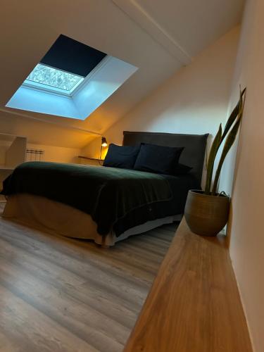 a bedroom with a bed and a skylight at Dupplex, centre ville in Blois