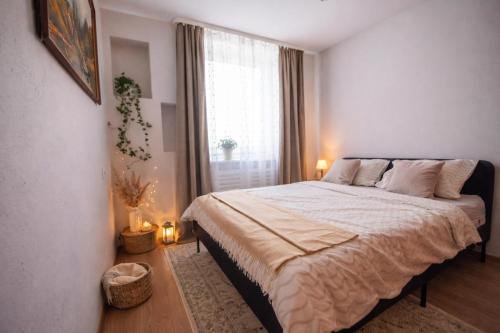 a bedroom with a large bed and a window at Patricia Apartments in Vilnius