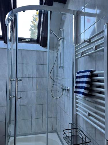a bathroom with a shower with a glass door at Ferienhaus Lisa am Silbersee in Frielendorf