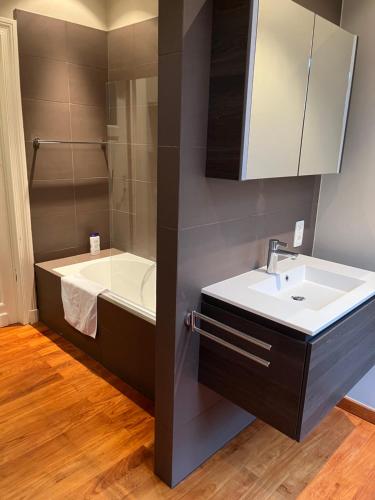 a bathroom with a sink and a bath tub at Brussels EU District Mansion in Brussels