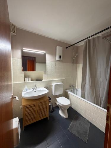 a bathroom with a sink and a toilet and a shower at Ferienwohnung Voges in Bad Lauterberg