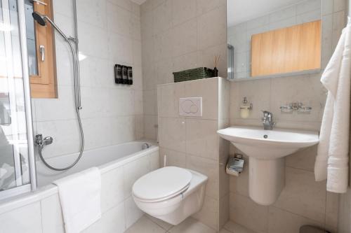 a bathroom with a toilet and a sink and a shower at Alpenblick in Beatenberg