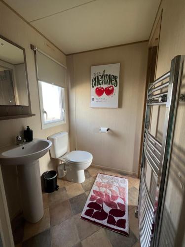 a bathroom with a white toilet and a sink at Seaton Sands 71 Aberlady in Port Seton