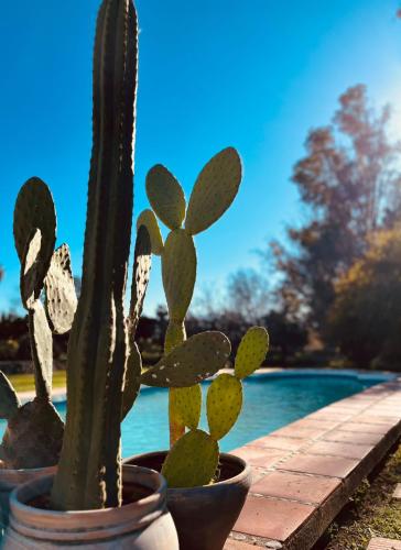 Finca W - Coín - Málaga - Andalucía