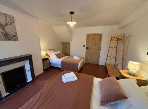 a living room with two beds and a fireplace at La Parenthèse Sancerroise in Savigny-en-Sancerre