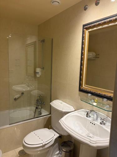 a bathroom with a toilet and a sink and a shower at Hotel Palacio de las Nieves in Langreo