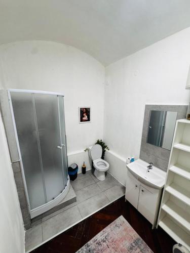 a bathroom with a shower and a toilet and a sink at Lacná izba v centre in Banská Bystrica