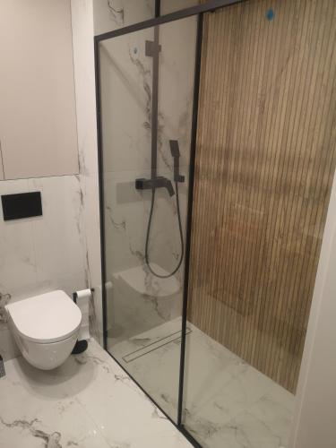 a bathroom with a shower and a toilet at Nocleg Zagnańska in Kielce