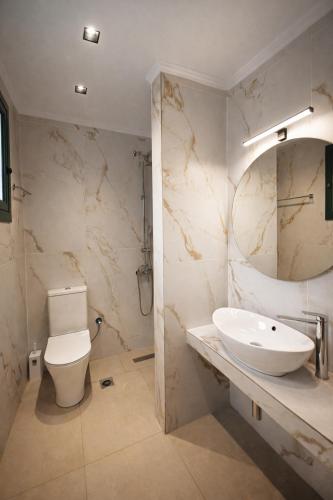 a bathroom with a sink and a toilet and a mirror at Adriolos Apartments in Liapades