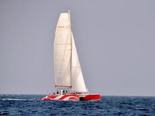 Elgouna Catamaran Tour Elgouna