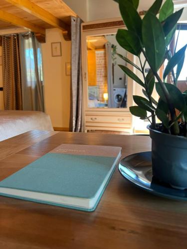 Ein Laptop steht auf einem Holztisch mit einer Topfpflanze. in der Unterkunft CaDiMon in Cuneo
