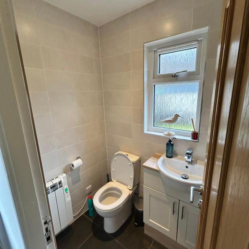 a bathroom with a toilet and a sink and a window at 6 Carn Dearg House in Aviemore
