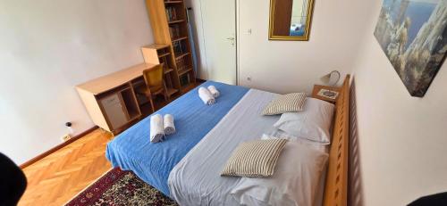 Spacious apartment