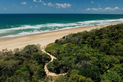 an aerial view of a beach and the ocean at Absolute Beach Front Home -Dogs, Surf, Relax, Bush in Kawana Waters