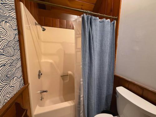 a bathroom with a shower curtain and a toilet at Fox's Den Your Lakefront Escape with Dock and Stunning Views in Rocky Mount