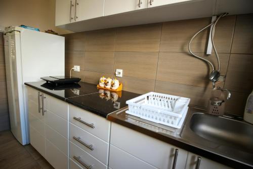 a kitchen with a counter with a dishrack on it at BGD Rentals in Donji Milanovac