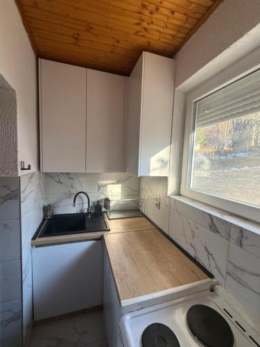 a small kitchen with a sink and a window at Mavrovo Lake Chalet in Mavrovo