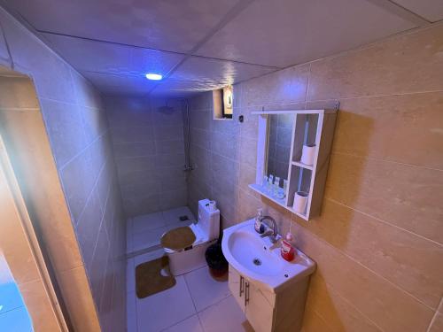 un piccolo bagno con lavandino e WC di Milky Way Nights Camp a Wadi Rum