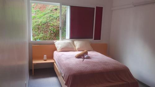 a bedroom with a bed with a stuffed animal on it at Appartement Ti Coquelicot in Rivière-Salée