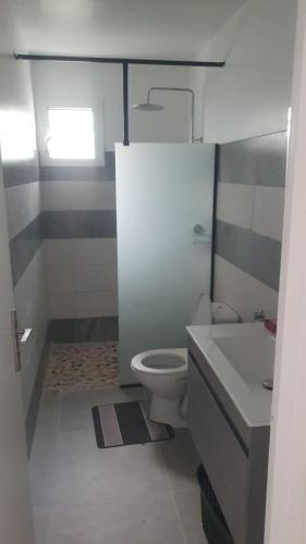 a bathroom with a white toilet and a sink at Appartement Ti Coquelicot in Rivière-Salée