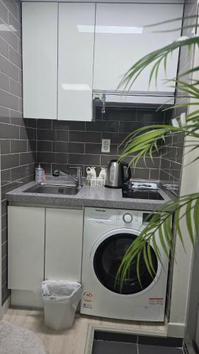 a kitchen with a washing machine and a sink at La Petite Maison d'Hôtes in Seoul