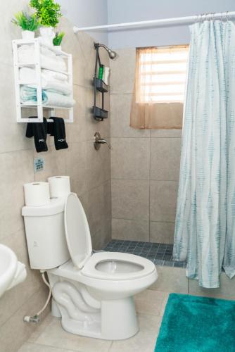 a bathroom with a white toilet and a shower at Kurt's Bayside Oasis in Anderson