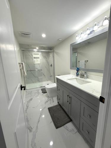 a bathroom with a sink and a toilet and a mirror at Modern 2BR Suite Private Entrance Parking New in Woodstock